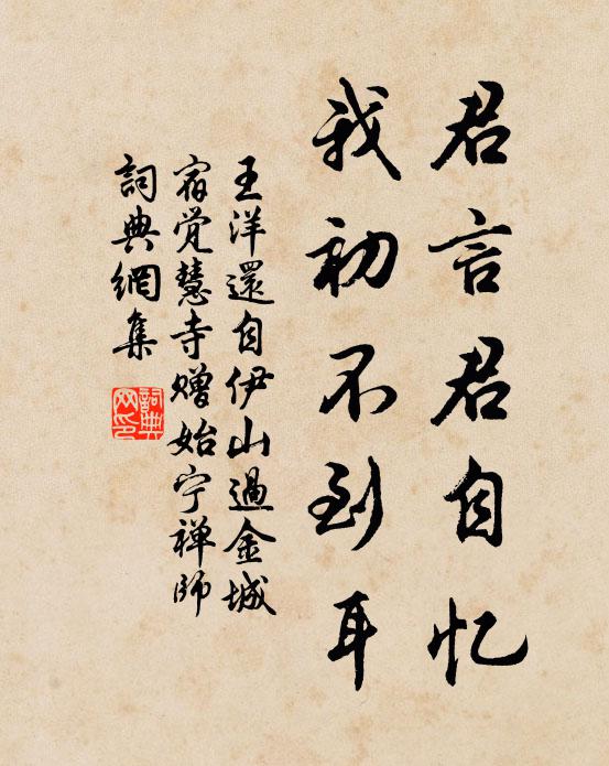 王洋君言君自忆，我初不到耳书法作品欣赏