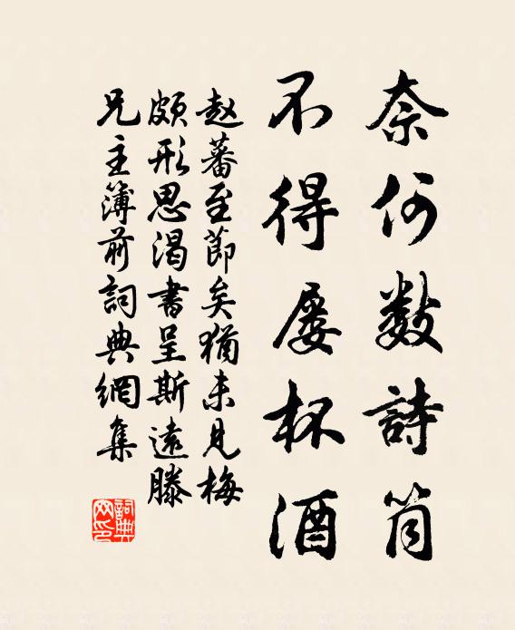赵蕃奈何数诗筒，不得屡杯酒书法作品欣赏