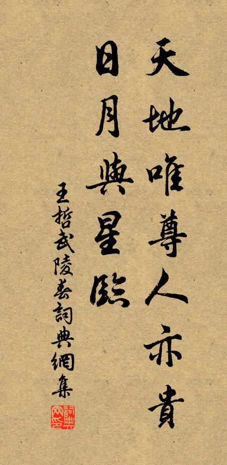 王哲天地唯尊人亦贵，日月与星临书法作品欣赏