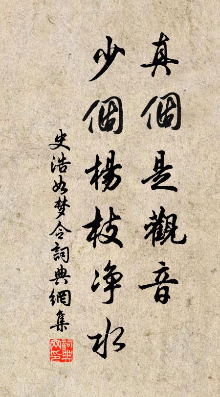 史浩真个是观音，少个杨枝净水书法作品欣赏
