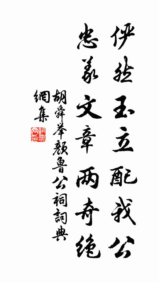 胡舜举俨然玉立配我公，忠义文章两奇绝书法作品欣赏