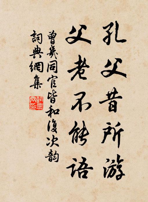 曾几孔父昔所游，父老不能语书法作品欣赏