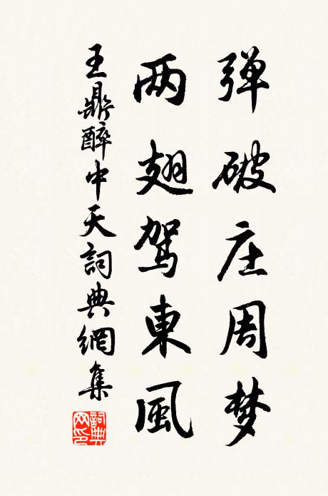 王鼎弹破庄周梦，两翅驾东风书法作品欣赏