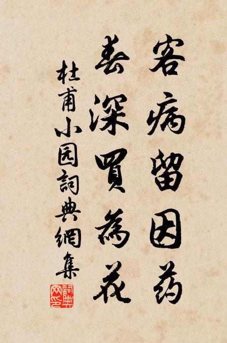 杜甫客病留因药，春深买为花书法作品欣赏
