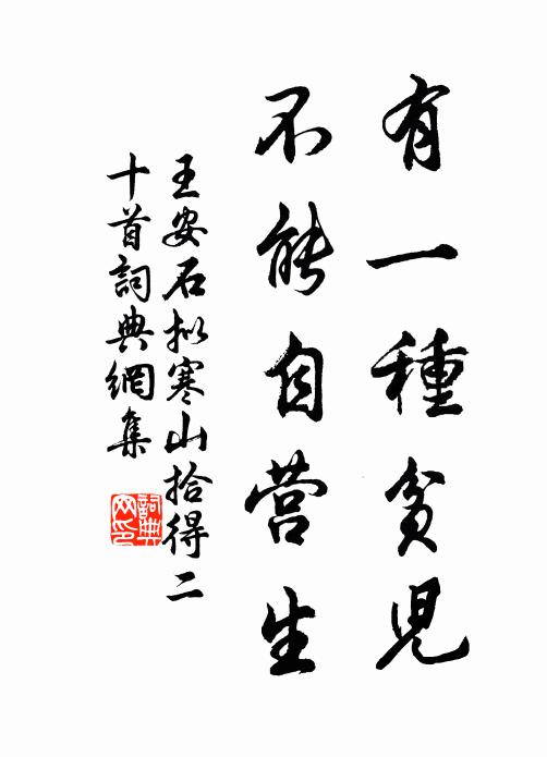 王安石有一种贫儿，不能自营生书法作品欣赏