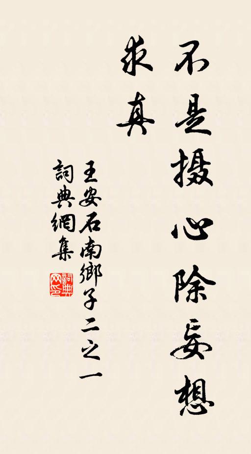 王安石不是摄心除妄想，求真书法作品欣赏