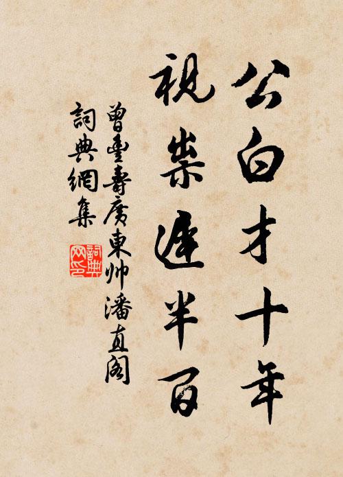曾丰公白才十年,视祟迟半百书法作品欣赏