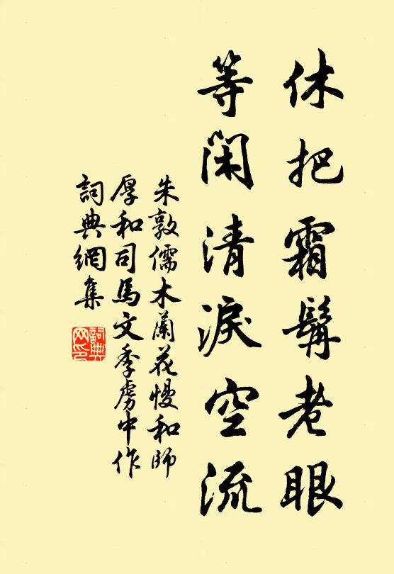 朱敦儒休把霜髯老眼，等闲清泪空流书法作品欣赏