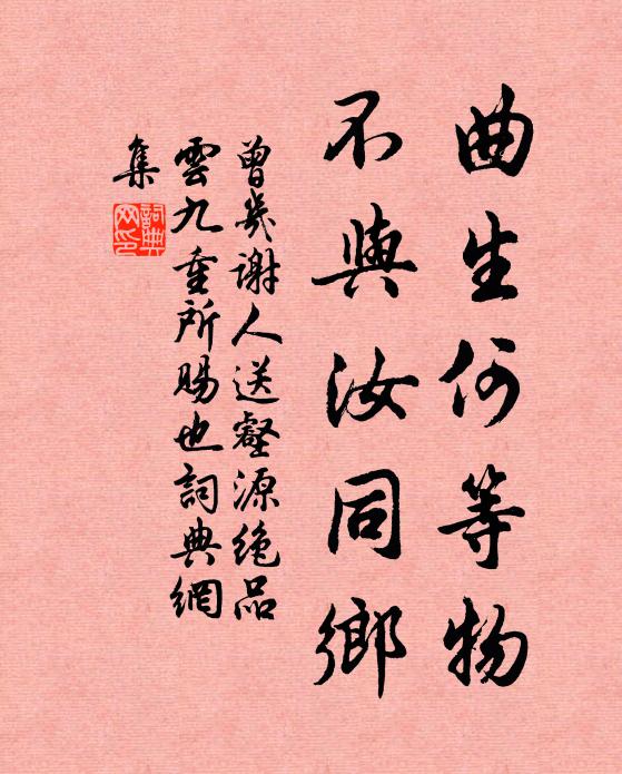 曾几曲生何等物，不与汝同乡书法作品欣赏