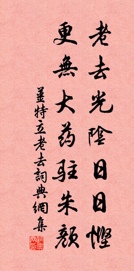 姜特立老去光阴日日悭，更无大药驻朱颜书法作品欣赏