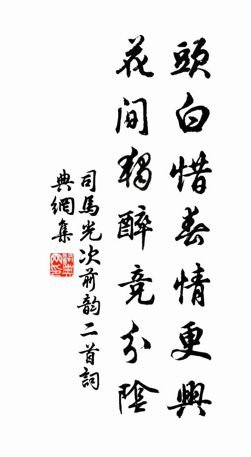 司马光头白惜春情更兴，花间独醉竞分阴书法作品欣赏