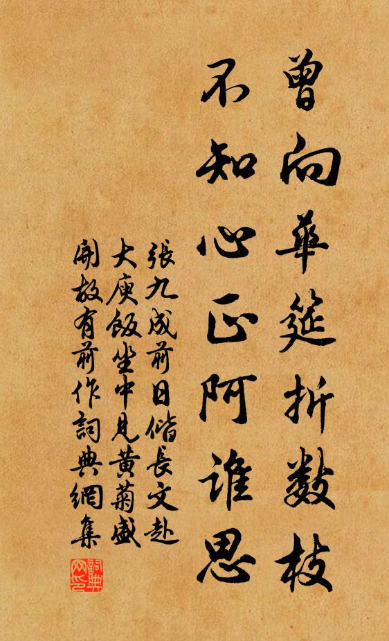 张九成曾向华筵折数枝，不知心正阿谁思书法作品欣赏