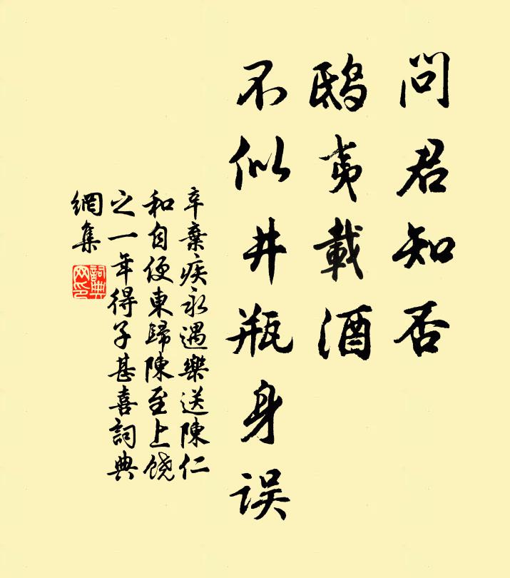辛弃疾问君知否，鸱夷载酒，不似井瓶身误书法作品欣赏