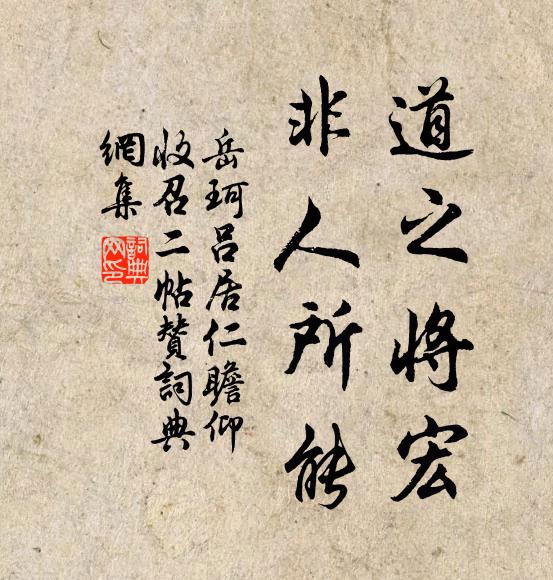 岳珂道之将宏,非人所能书法作品欣赏
