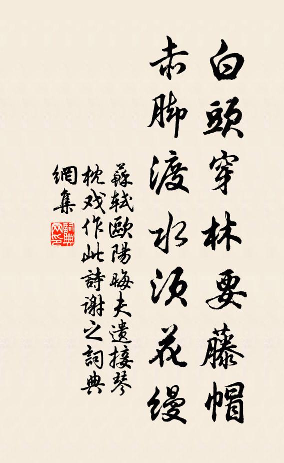 苏轼白头穿林要藤帽，赤脚渡水须花缦书法作品欣赏