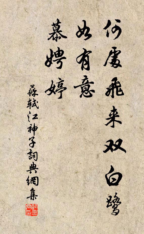 苏轼何处飞来双白鹭，如有意，慕娉婷书法作品欣赏