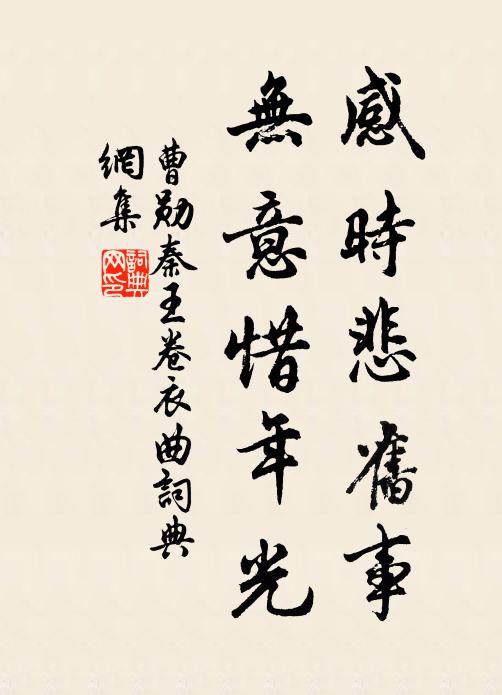 曹勋感时悲旧事，无意惜年光书法作品欣赏
