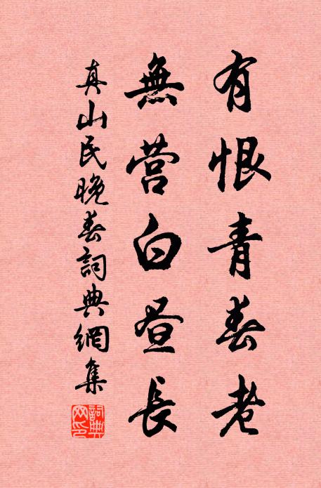 真山民有恨青春老，无营白昼长书法作品欣赏