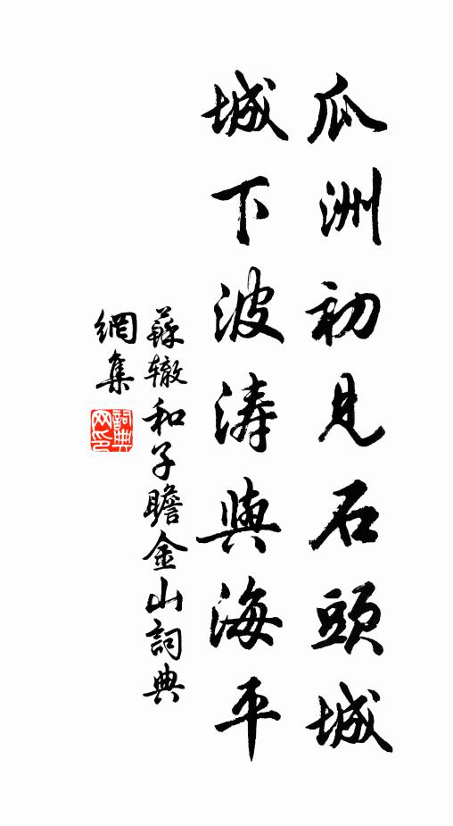 苏辙瓜洲初见石头城，城下波涛与海平书法作品欣赏
