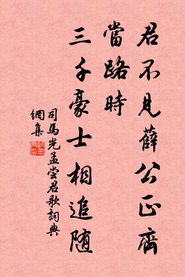 司马光君不见薛公正齐当路时，三千豪士相追随书法作品欣赏