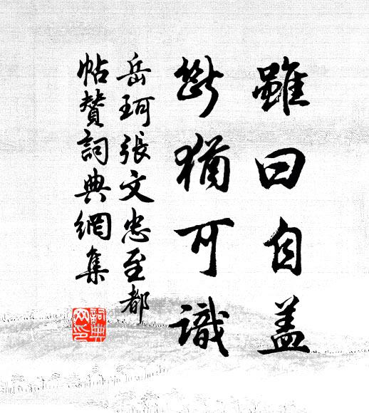 岳珂虽曰自盖，断犹可识书法作品欣赏