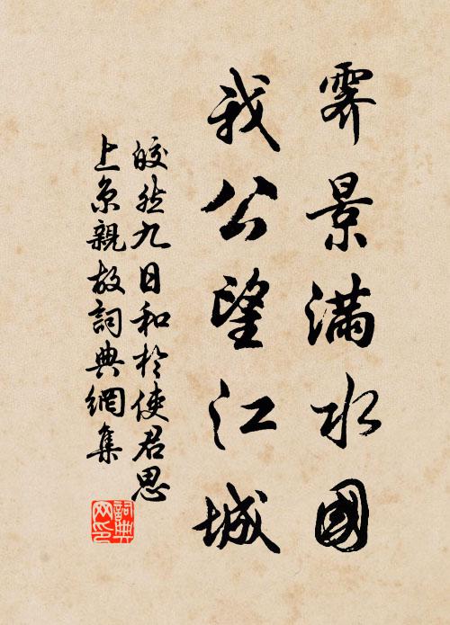 皎然霁景满水国，我公望江城书法作品欣赏