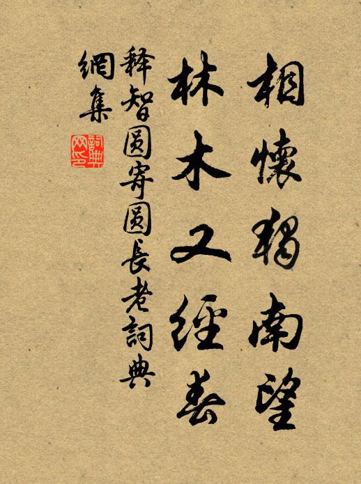 释智圆相怀独南望，林木又经春书法作品欣赏