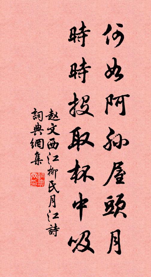 赵文何如阿孙屋头月，时时投取杯中吸书法作品欣赏