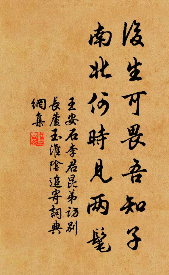王安石后生可畏吾知子，南北何时见两髦书法作品欣赏