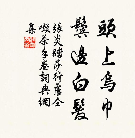 张炎头上乌巾，鬓边白发书法作品欣赏