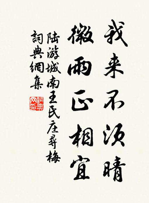 陆游我来不须晴，微雨正相宜书法作品欣赏