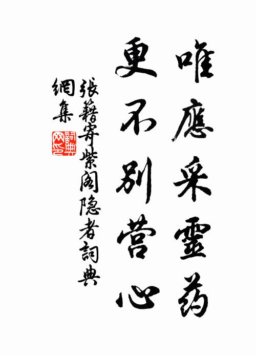 张籍唯应采灵药，更不别营心书法作品欣赏