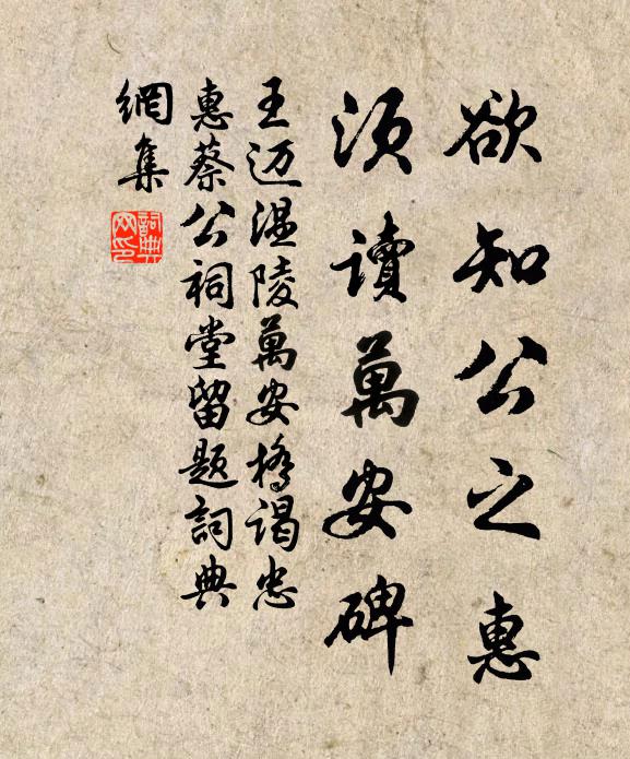 王迈欲知公之惠，须读万安碑书法作品欣赏