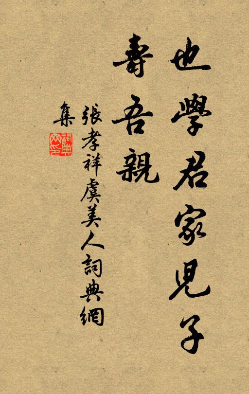 张孝祥也学君家儿子、寿吾亲书法作品欣赏
