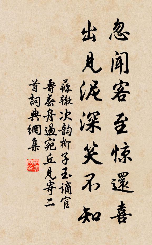 苏辙忽闻客至惊还喜，出见泥深笑不知书法作品欣赏