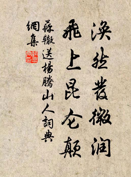 苏辙涣然发微润，飞上昆仑颠书法作品欣赏