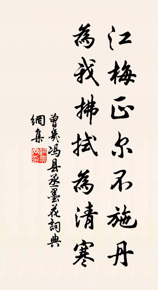 曾几江梅正尔不施丹，为我拂拭为清寒书法作品欣赏
