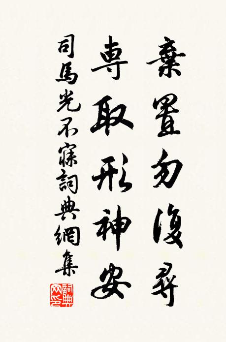 司马光弃置勿复寻，专取形神安书法作品欣赏