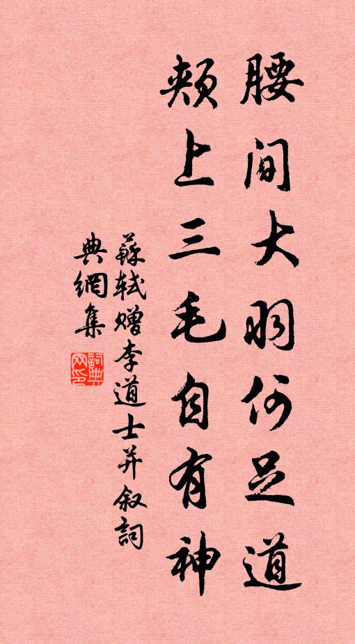 苏轼腰间大羽何足道，颊上三毛自有神书法作品欣赏