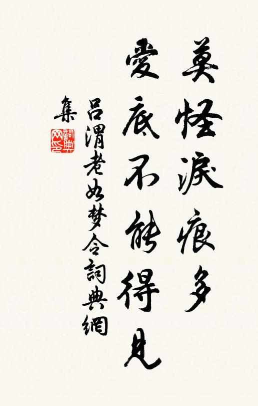 吕渭老莫怪泪痕多，爱底不能得见书法作品欣赏