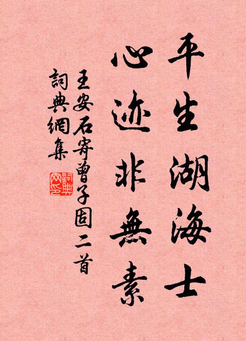 王安石平生湖海士，心迹非无素书法作品欣赏