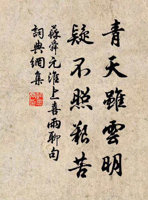 苏舜元青天虽云明，疑不照艰苦书法作品欣赏