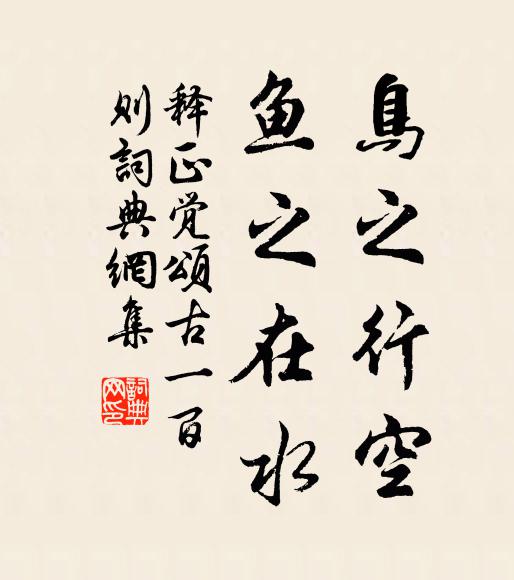 释正觉鸟之行空，鱼之在水书法作品欣赏