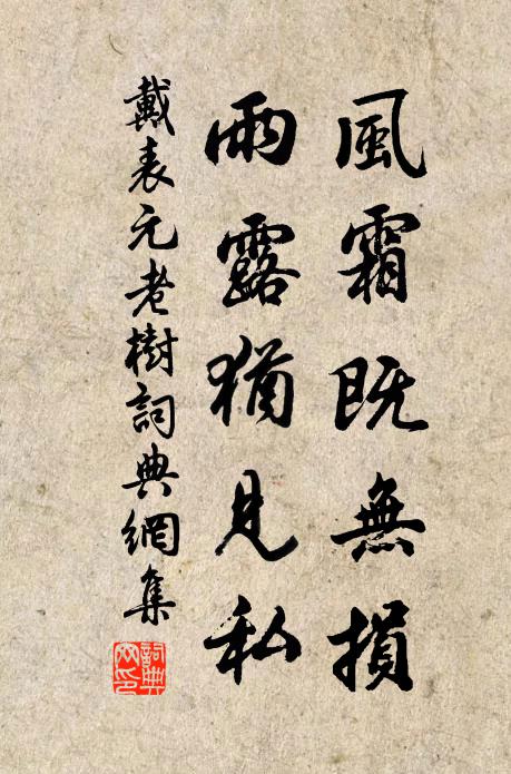 戴表元风霜既无损，雨露犹见私书法作品欣赏