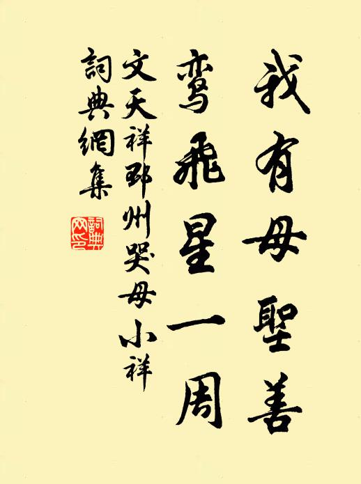 文天祥我有母圣善，鸾飞星一周书法作品欣赏