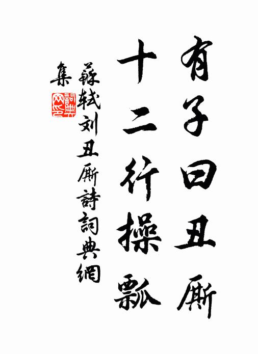苏轼有子曰丑厮，十二行操瓢书法作品欣赏
