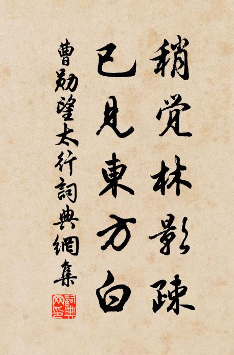 曹勋稍觉林影疎，已见东方白书法作品欣赏