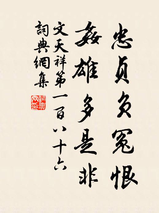 文天祥忠贞负冤恨，奸雄多是非书法作品欣赏