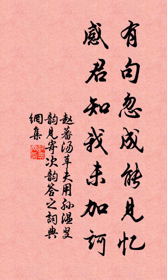 赵蕃有句忽成能见忆，感君知我未加诃书法作品欣赏