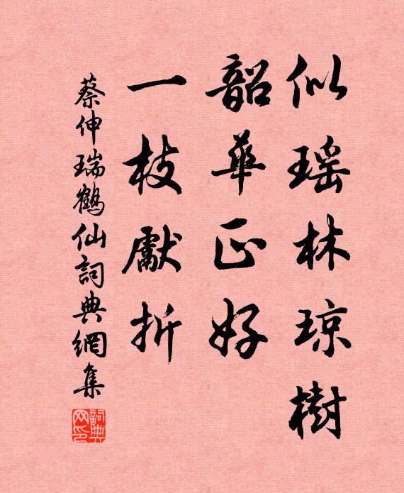 蔡伸似瑶林琼树，韶华正好，一枝先折书法作品欣赏